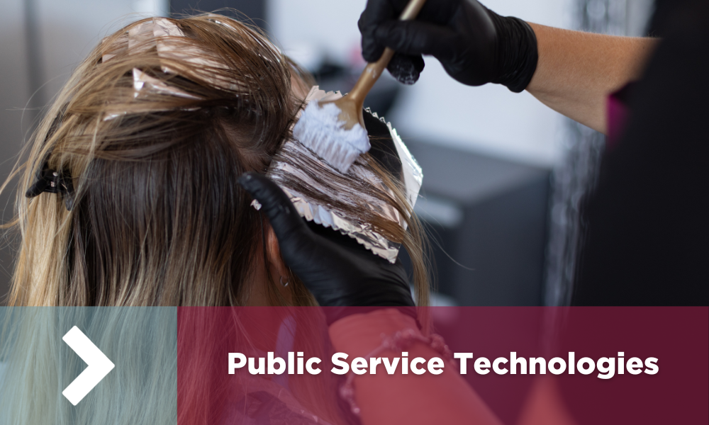 Click this image to access information about Public Service Technologies.